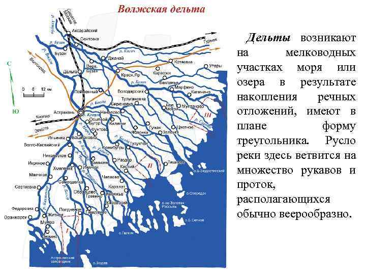 Дельты возникают на мелководных участках моря или озера в результате накопления речных отложений, имеют