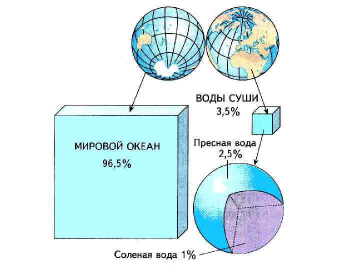 Схема состав гидросферы 5 класс география