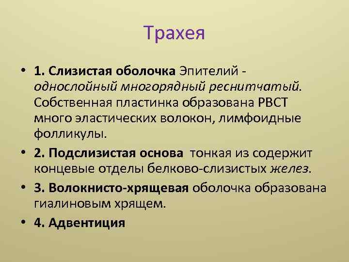 Трахея • 1. Слизистая оболочка Эпителий однослойный многорядный реснитчатый. Собственная пластинка образована РВСТ много