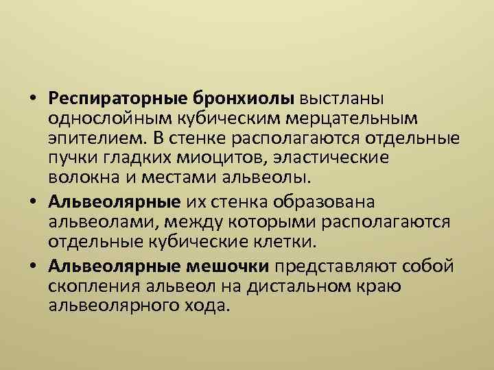  • Респираторные бронхиолы выстланы однослойным кубическим мерцательным эпителием. В стенке располагаются отдельные пучки