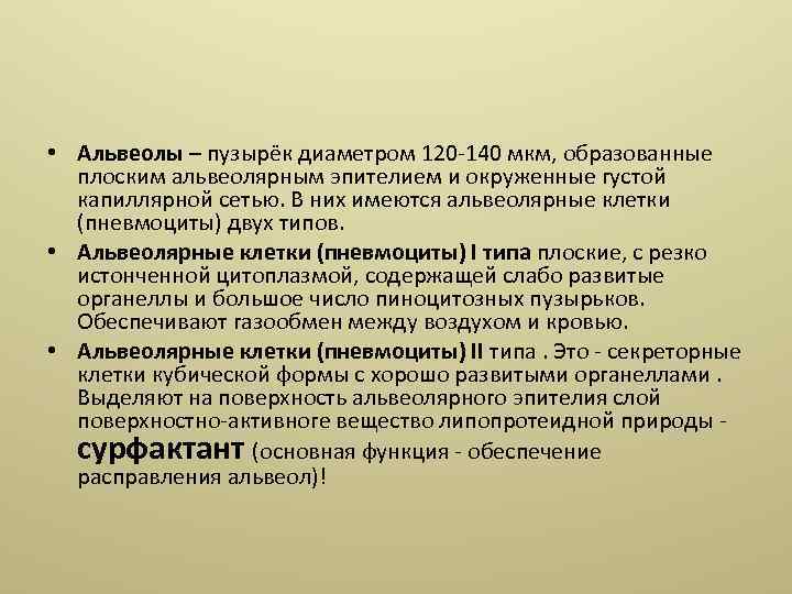  • Альвеолы – пузырёк диаметром 120 -140 мкм, образованные плоским альвеолярным эпителием и