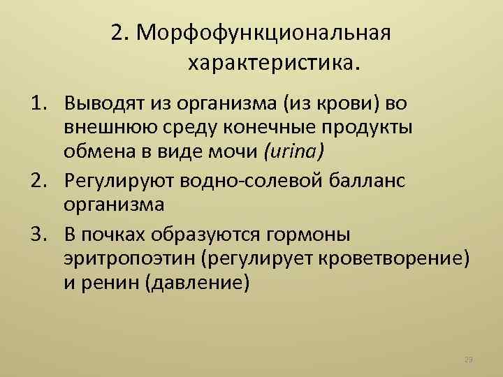 2. Морфофункциональная характеристика. 1. Выводят из организма (из крови) во внешнюю среду конечные продукты