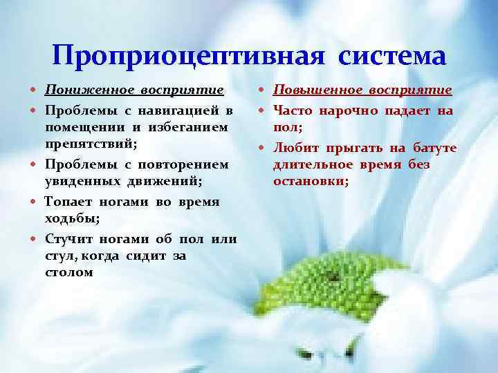 Проприоцептивная система Пониженное восприятие Повышенное восприятие Проблемы с навигацией в Часто нарочно падает на