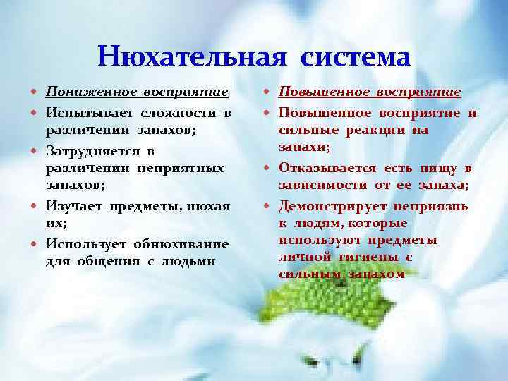 Нюхательная система Пониженное восприятие Повышенное восприятие Испытывает сложности в Повышенное восприятие и различении запахов;