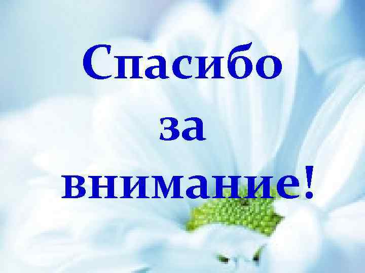 Спасибо за внимание! 