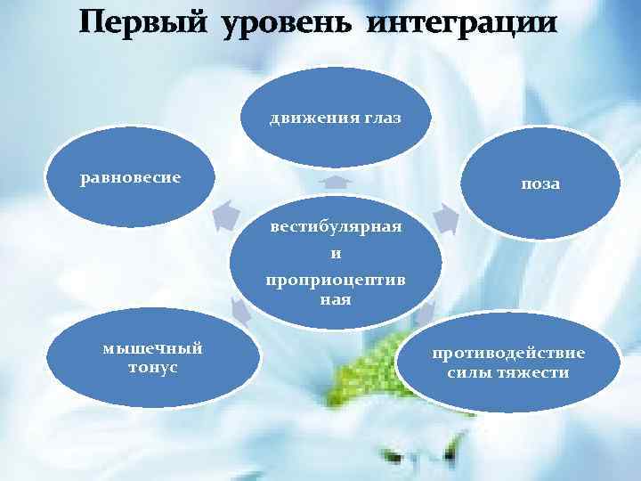 Первый уровень интеграции движения глаз равновесие поза вестибулярная и проприоцептив ная мышечный тонус противодействие