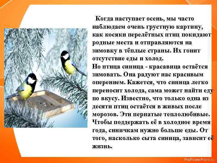  Когда наступает осень, мы часто наблюдаем очень грустную картину, как косяки перелётных птиц