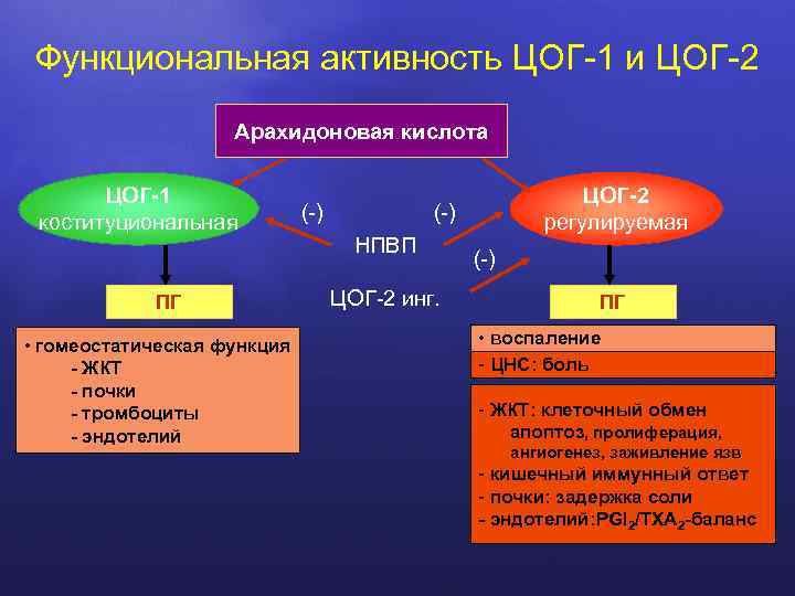 Функциональная активность ЦОГ-1 и ЦОГ-2 Арахидоновая кислота ЦОГ-1 коституциональная ПГ • гомеостатическая функция -