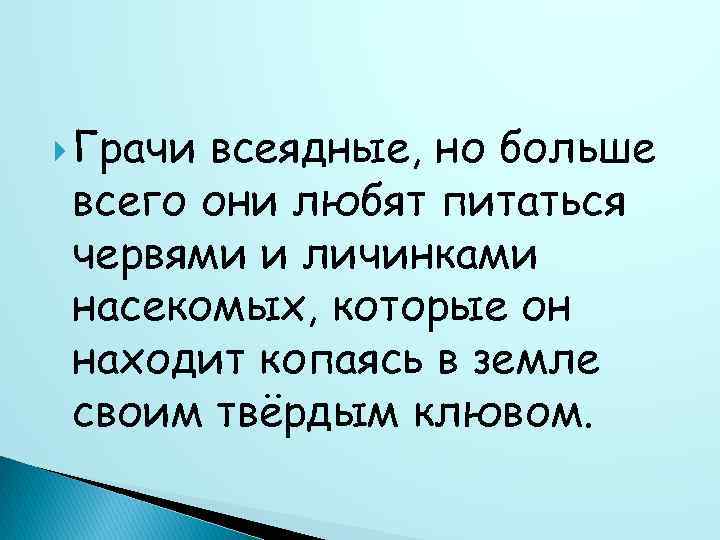  Грачи всеядные, но больше всего они любят питаться червями и личинками насекомых, которые