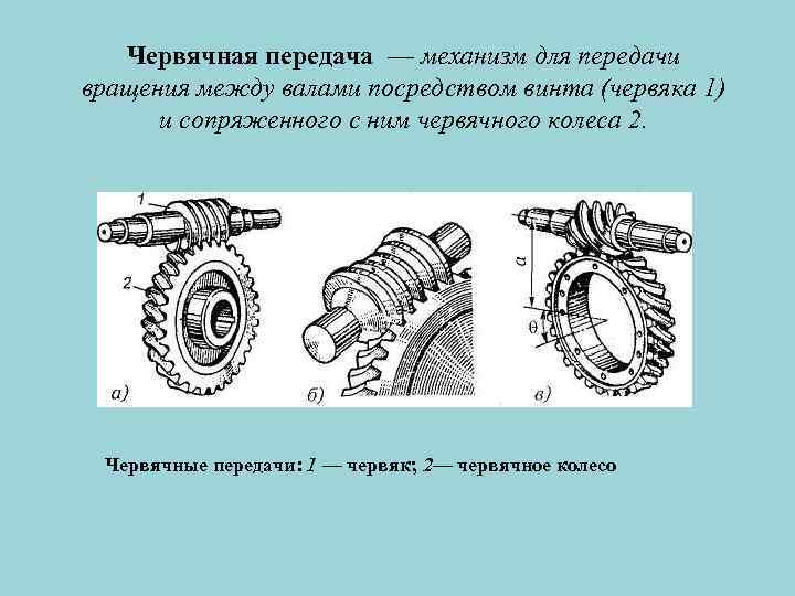 Червячная передача — механизм для передачи вращения между валами посредством винта (червяка 1) и