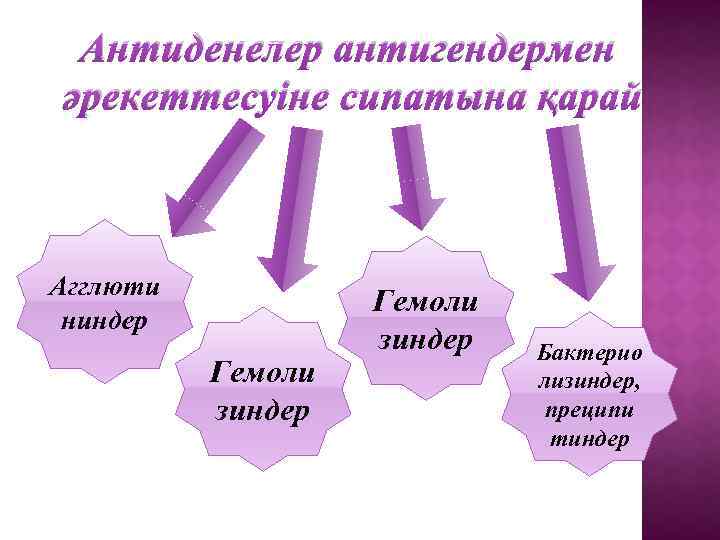 Антиденелер антигендермен әрекеттесуіне сипатына қарай Агглюти ниндер Гемоли зиндер Бактерио лизиндер, преципи тиндер 