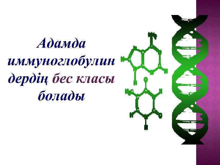 Адамда иммуноглобулин дердің бес класы болады 