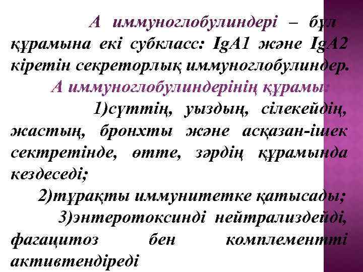  А иммуноглобулиндері – бұл құрамына екі субкласс: Ig. A 1 және Ig. A