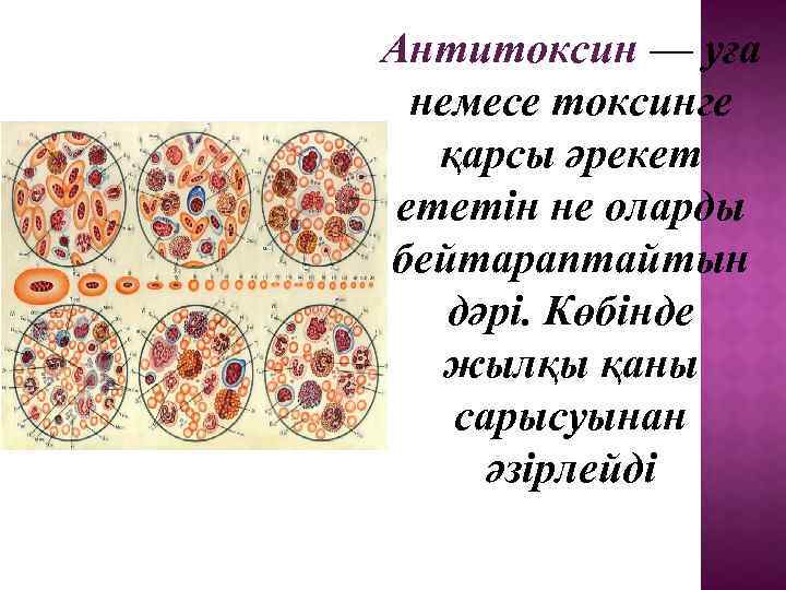 Антитоксин — уға немесе токсинге қарсы әрекет ететін не оларды бейтараптайтын дәрі. Көбінде жылқы