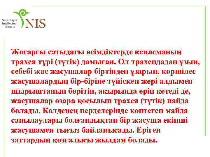 Жоғарғы сатыдағы өсімдіктерде ксилеманың трахея түрі (түтік) дамыған. Ол трахеидадан ұзын, себебі жасушалар біртіндеп