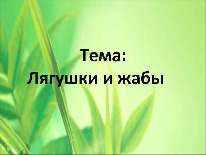 Тема: Лягушки и жабы 