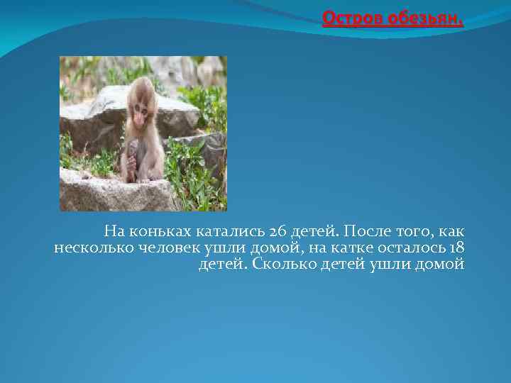 Остров обезьян. На коньках катались 26 детей. После того, как несколько человек ушли домой,