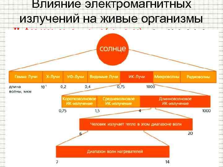 Влияние электромагнитных излучений на живые организмы Инфракрасное излучение (тепловое) - излучается атомами или молекулами