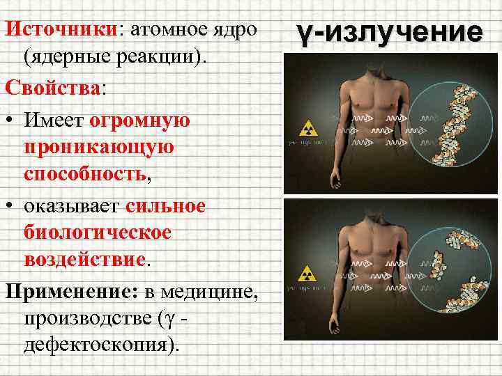 Источники: атомное ядро (ядерные реакции). Свойства: • Имеет огромную проникающую способность, • оказывает сильное