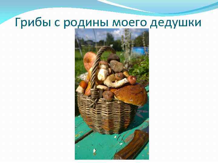 Грибы с родины моего дедушки 