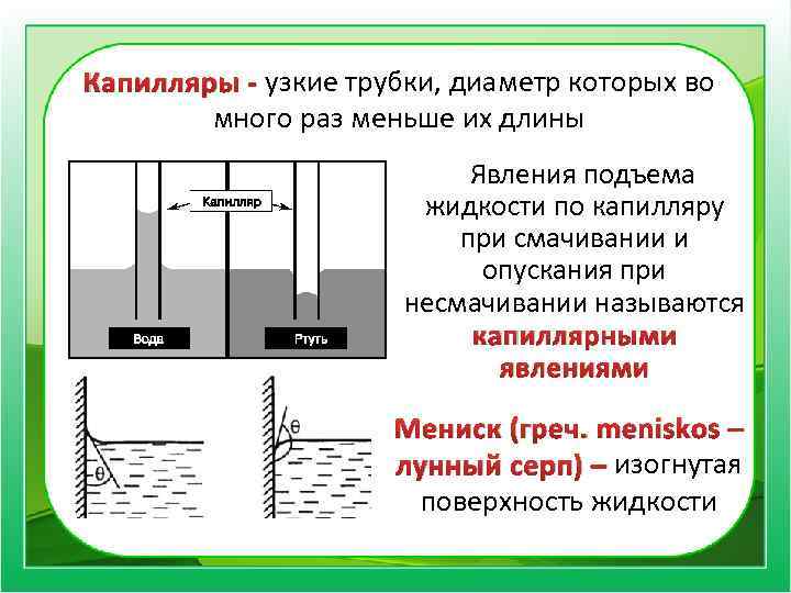 Капилляры - узкие трубки, диаметр которых во много раз меньше их длины Явления подъема