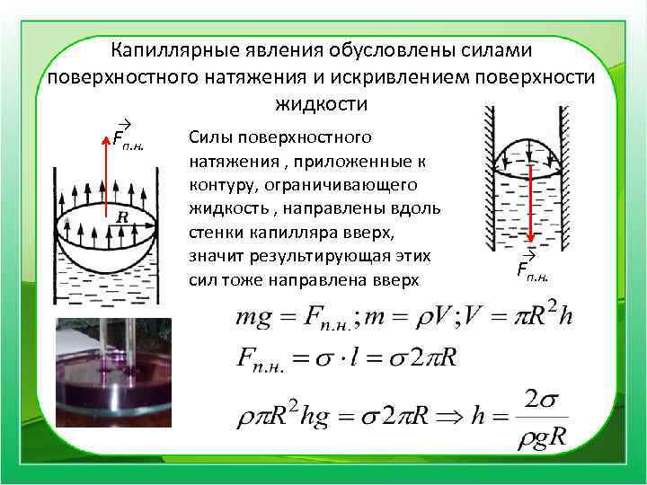 Капиллярные явления обусловлены силами поверхностного натяжения и искривлением поверхности жидкости → Fп. н. Силы