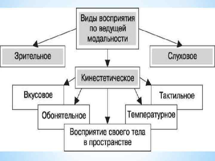 Модальности восприятия в психологии