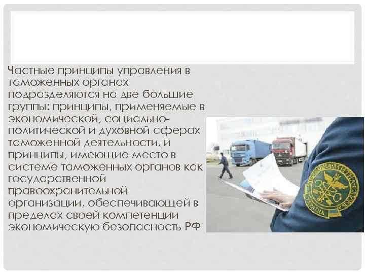 Частные принципы управления в таможенных органах подразделяются на две большие группы: принципы, применяемые в