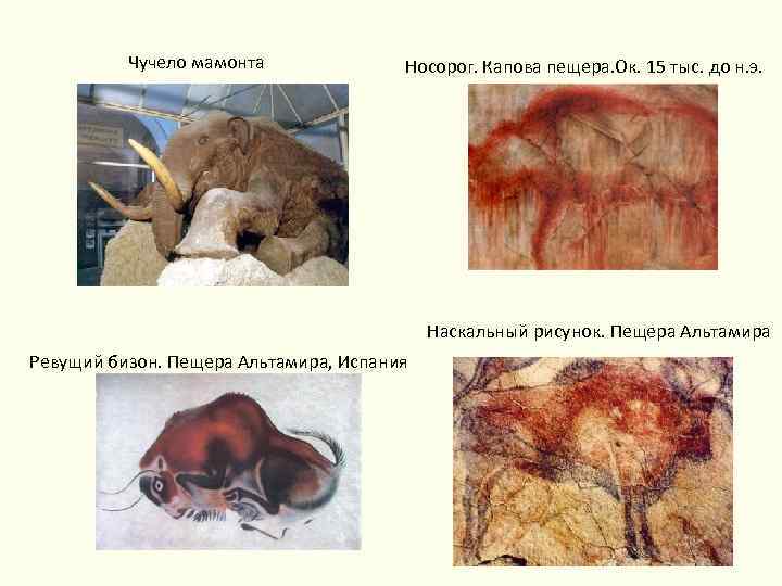 Чучело мамонта Носорог. Капова пещера. Ок. 15 тыс. до н. э. Наскальный рисунок. Пещера