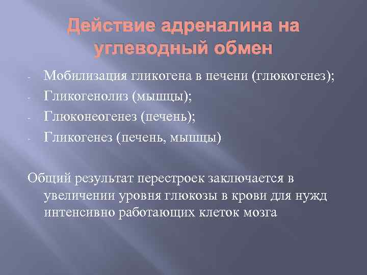 Действие адреналина на углеводный обмен - Мобилизация гликогена в печени (глюкогенез); Гликогенолиз (мышцы); Глюконеогенез