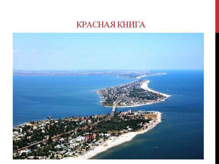  КРАСНАЯ КНИГА 