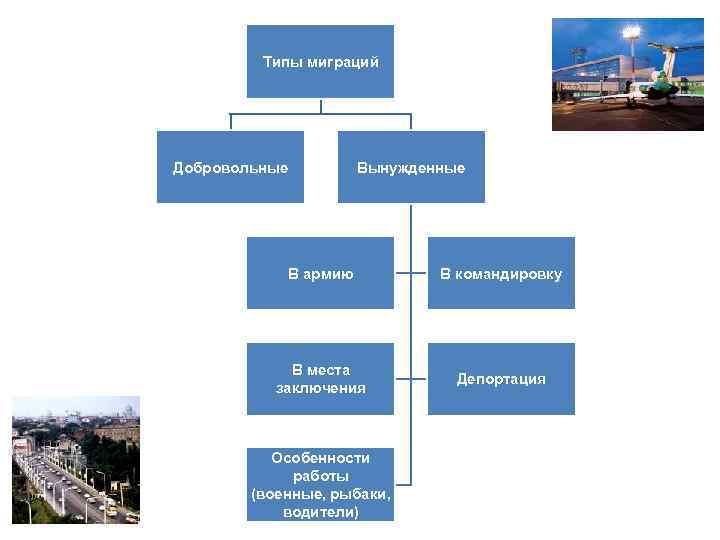 Составьте обобщающую схему виды миграций