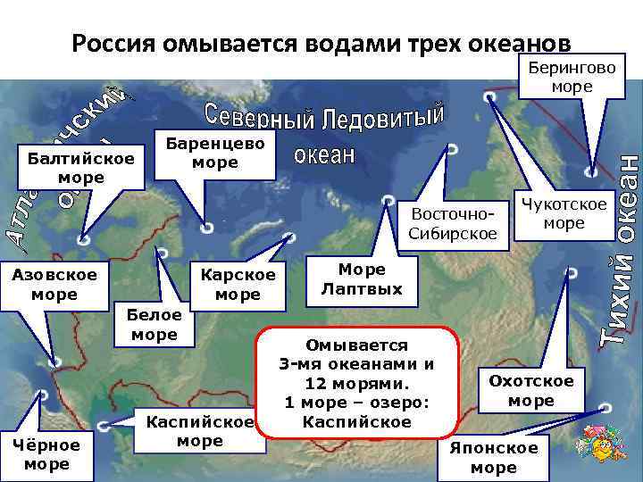 Россия омывается водами трех океанов Берингово море Балтийское море Баренцево море Восточно Сибирское Азовское