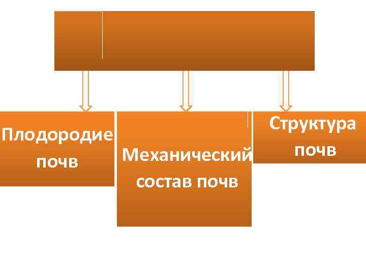 Основные свойства почв Структура Плодородие почв Механический почв состав почв 