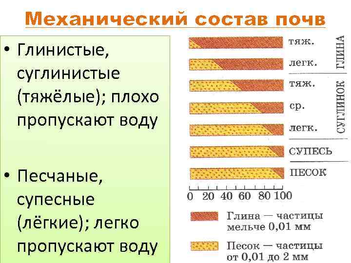 Состав суглинистой почвы схема