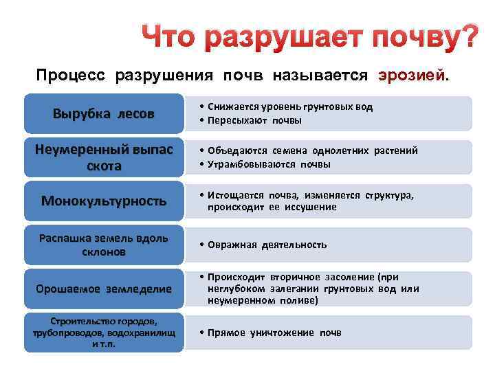 Что разрушает почву? Процесс разрушения почв называется эрозией. Вырубка лесов • Снижается уровень грунтовых