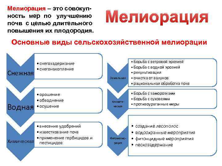 Мелиорация – это совокупность мер по улучшению почв с целью длительного повышения их плодородия.