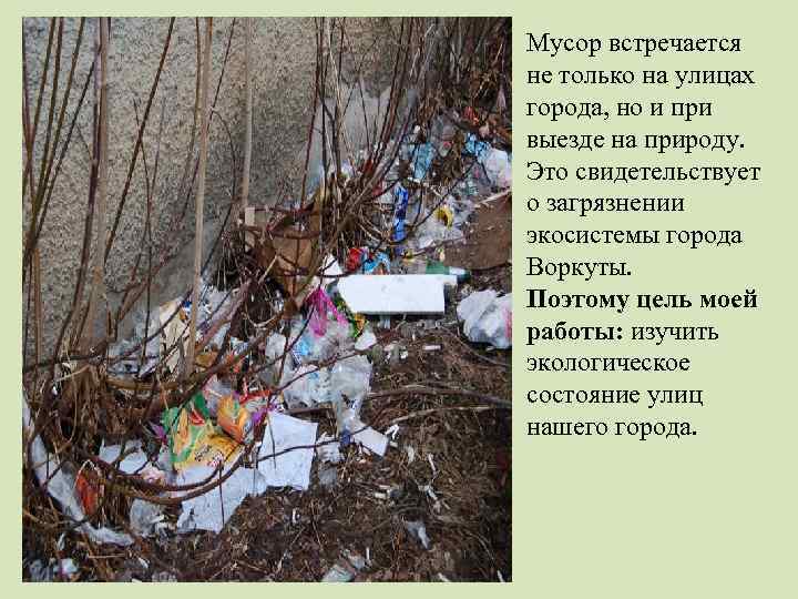 Мусор встречается не только на улицах города, но и при выезде на природу. Это