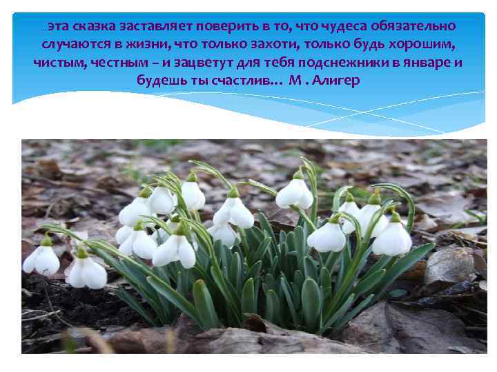 эта сказка заставляет поверить в то, что чудеса обязательно случаются в жизни, что только