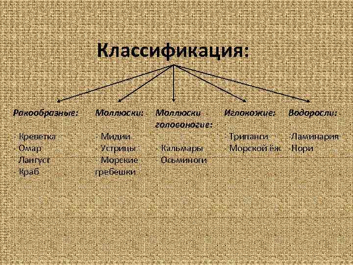 Классификация морепродуктов схема