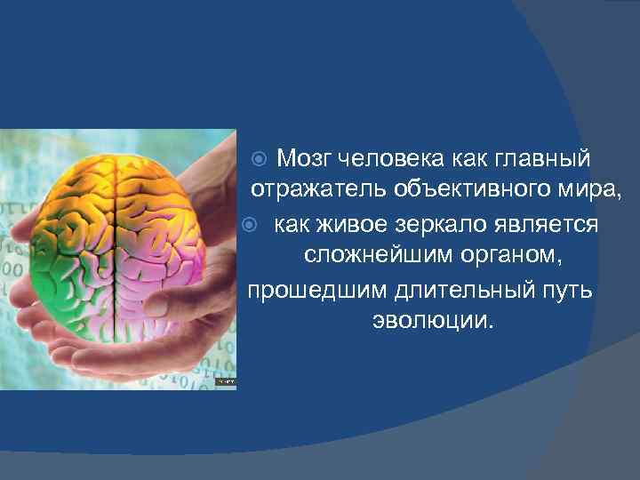 Мозг человека как главный отражатель объективного мира, как живое зеркало является сложнейшим органом, прошедшим