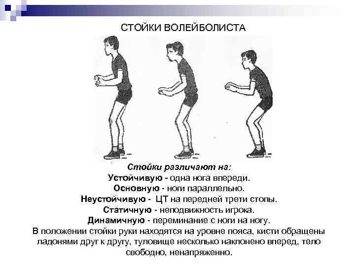 СТОЙКИ ВОЛЕЙБОЛИСТА Стойки различают на: Устойчивую - одна нога впереди. Основную - ноги параллельно.