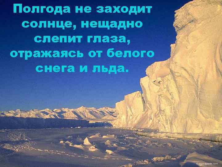Полгода не заходит солнце, нещадно слепит глаза, отражаясь от белого снега и льда. 