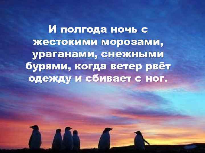 И полгода ночь с жестокими морозами, ураганами, снежными бурями, когда ветер рвёт одежду и