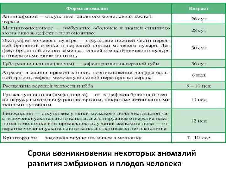 Сроки возникновения некоторых аномалий развития эмбрионов и плодов человека 