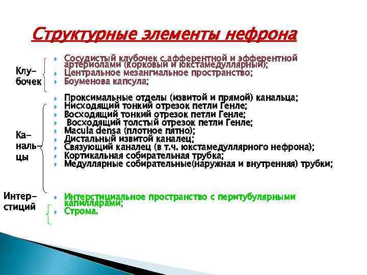 Структурные элементы нефрона Сосудистый клубочек с афферентной и эфферентной артериолами (корковый и юкстамедуллярный); Центральное