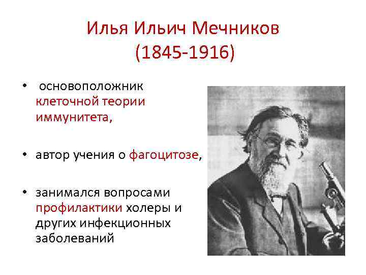 Илья Ильич Мечников (1845 -1916) • основоположник клеточной теории иммунитета, • автор учения о