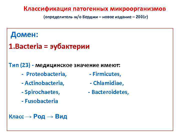 Классификация патогенных микроорганизмов (определитель м/о Берджи – новое издание – 2001 г) Домен: 1.