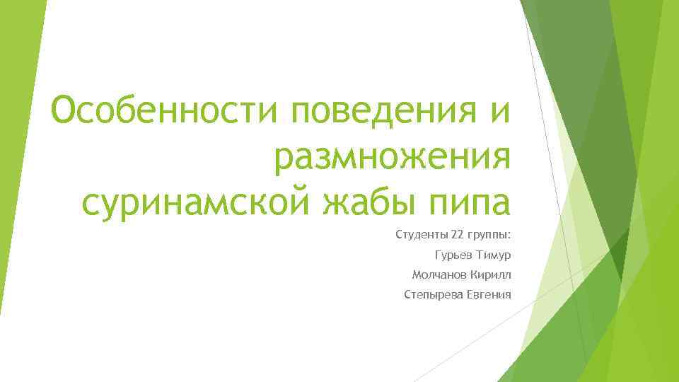 Особенности поведения и размножения суринамской жабы пипа Студенты 22 группы: Гурьев Тимур Молчанов Кирилл