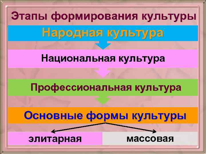 Этапы формирования культуры Народная культура Национальная культура Профессиональная культура Основные формы культуры элитарная массовая